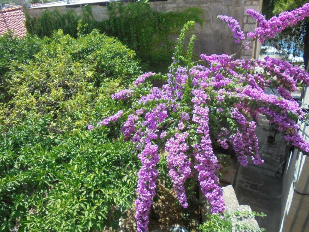 Unique Cavtat Center Apartment Zewnętrze zdjęcie